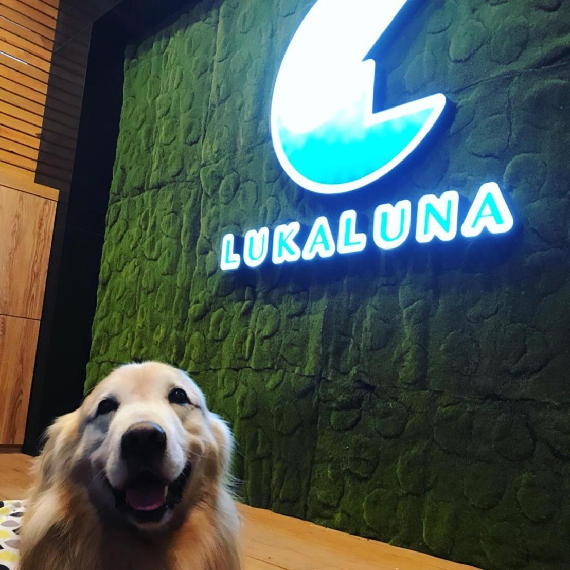 Luka Luna B&B Taitung Exterior photo
